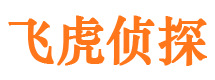 松北市调查取证